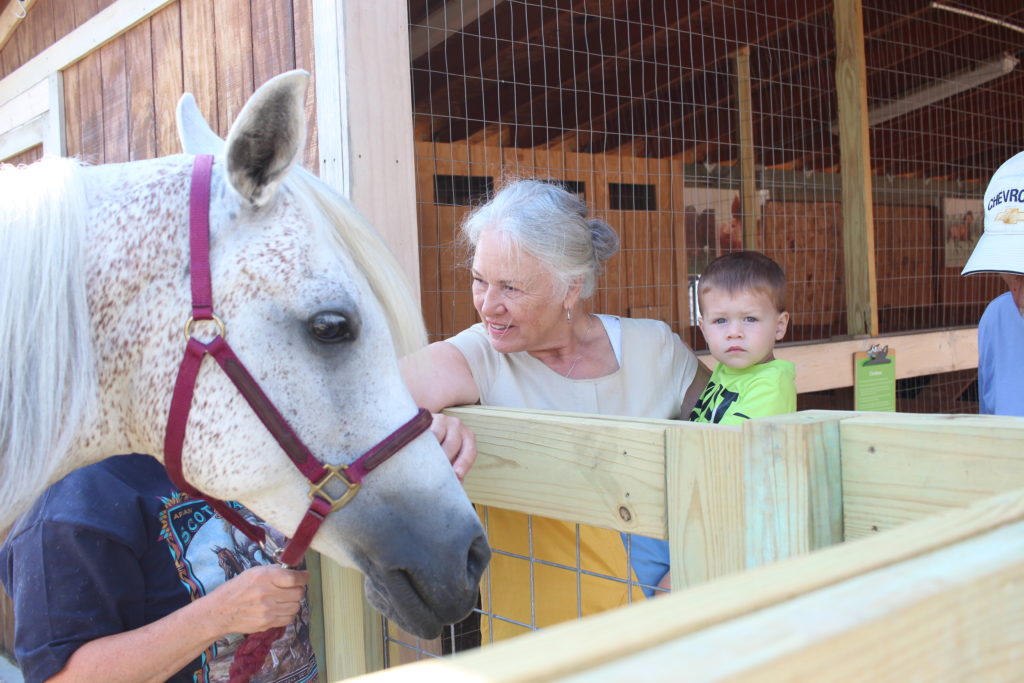 Alltech Farmyard Animal Experience