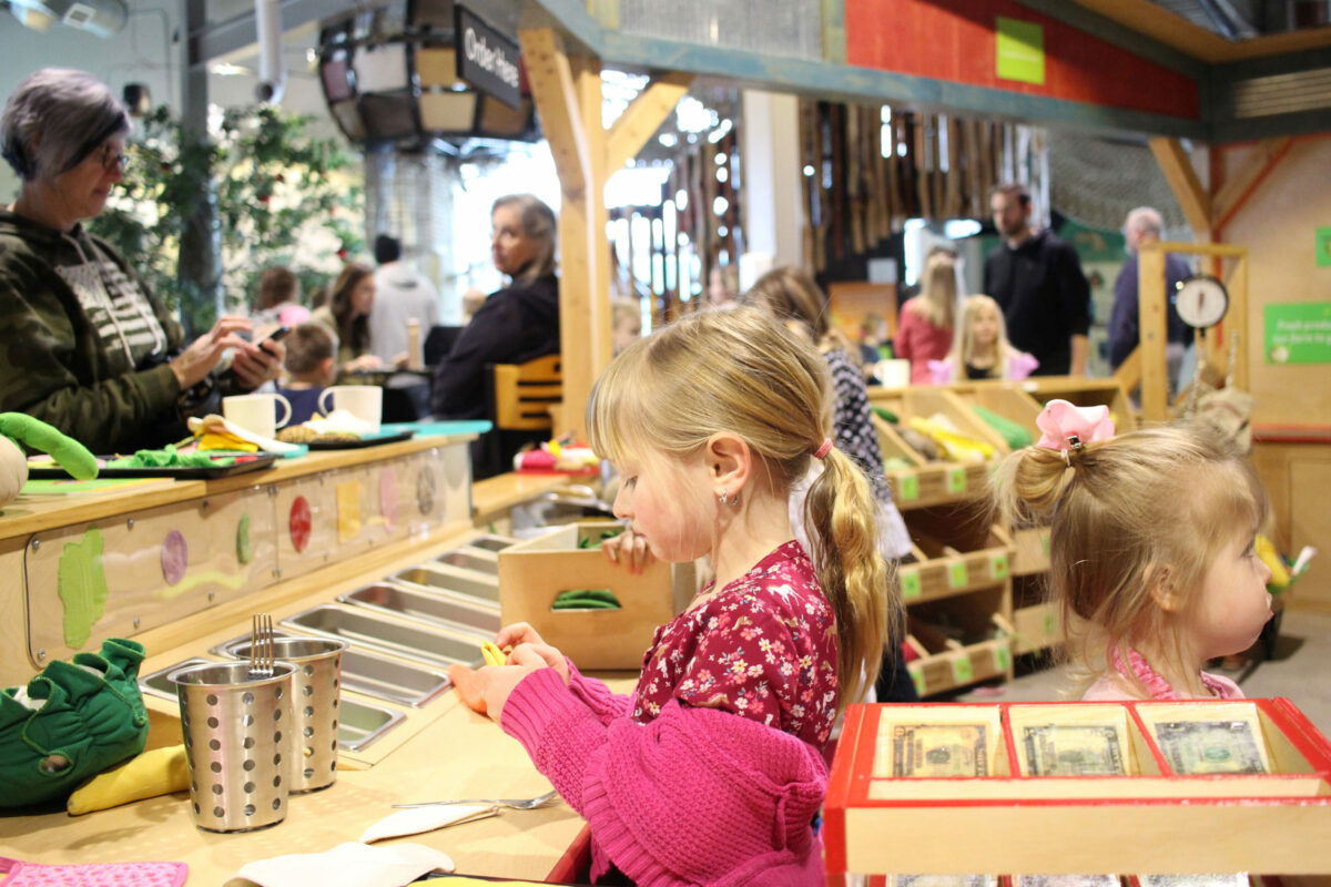 Deli-counter-in-the-Grow-it-Gallery-at-the-Childrens-Museum-of-Southern-Minnesota
