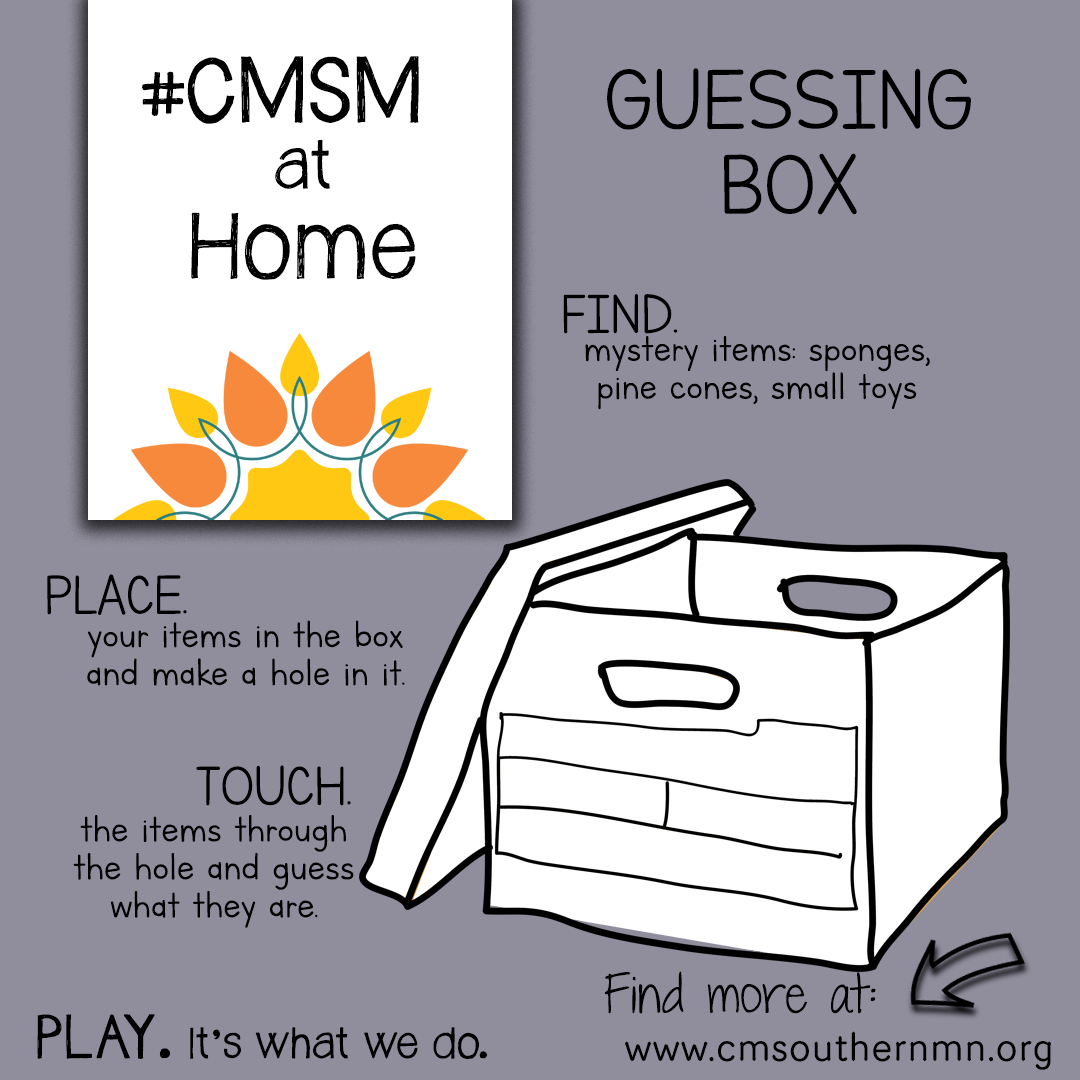 CMSM-at-Home Guessing Box