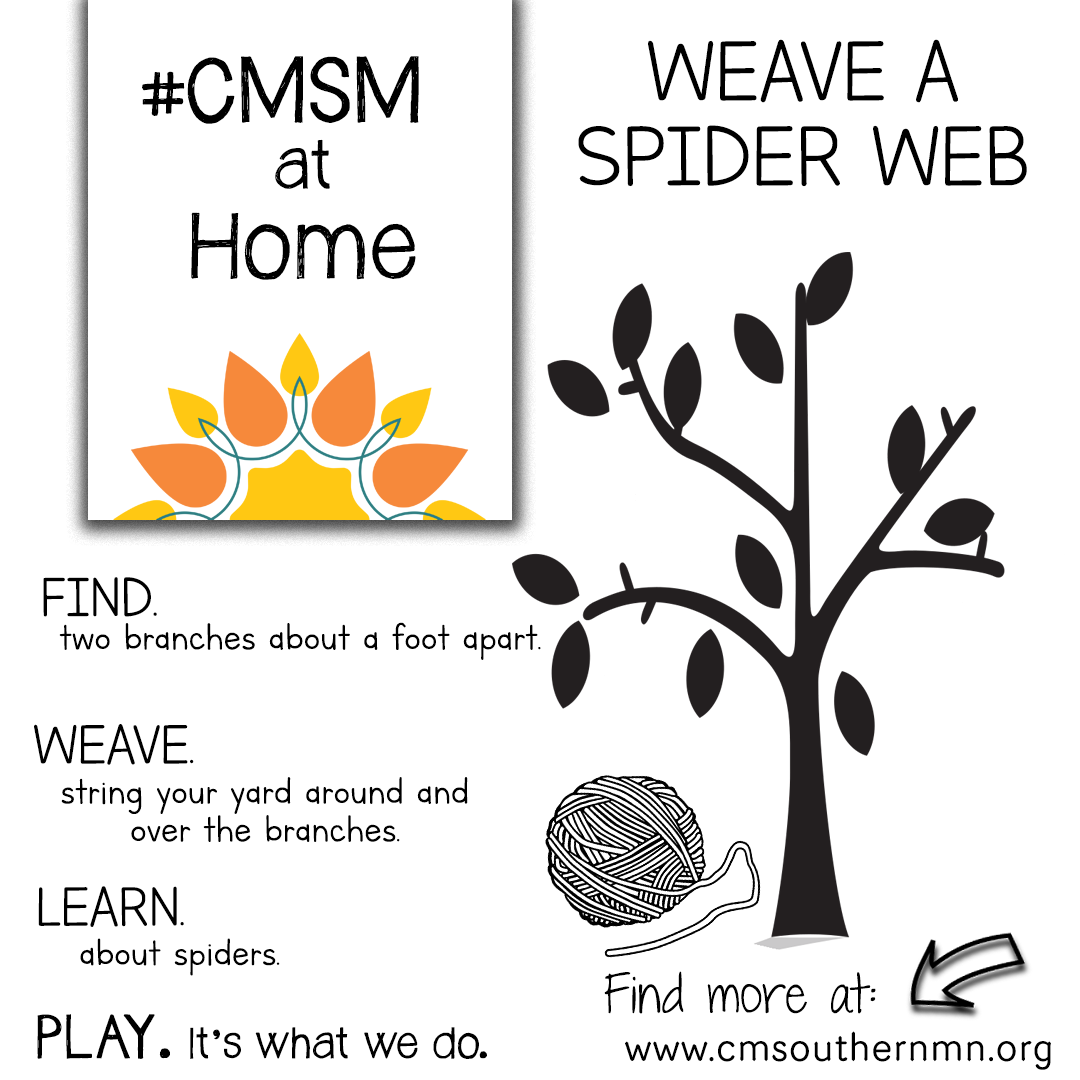 CMSM-at-Home Weave a Spider Web