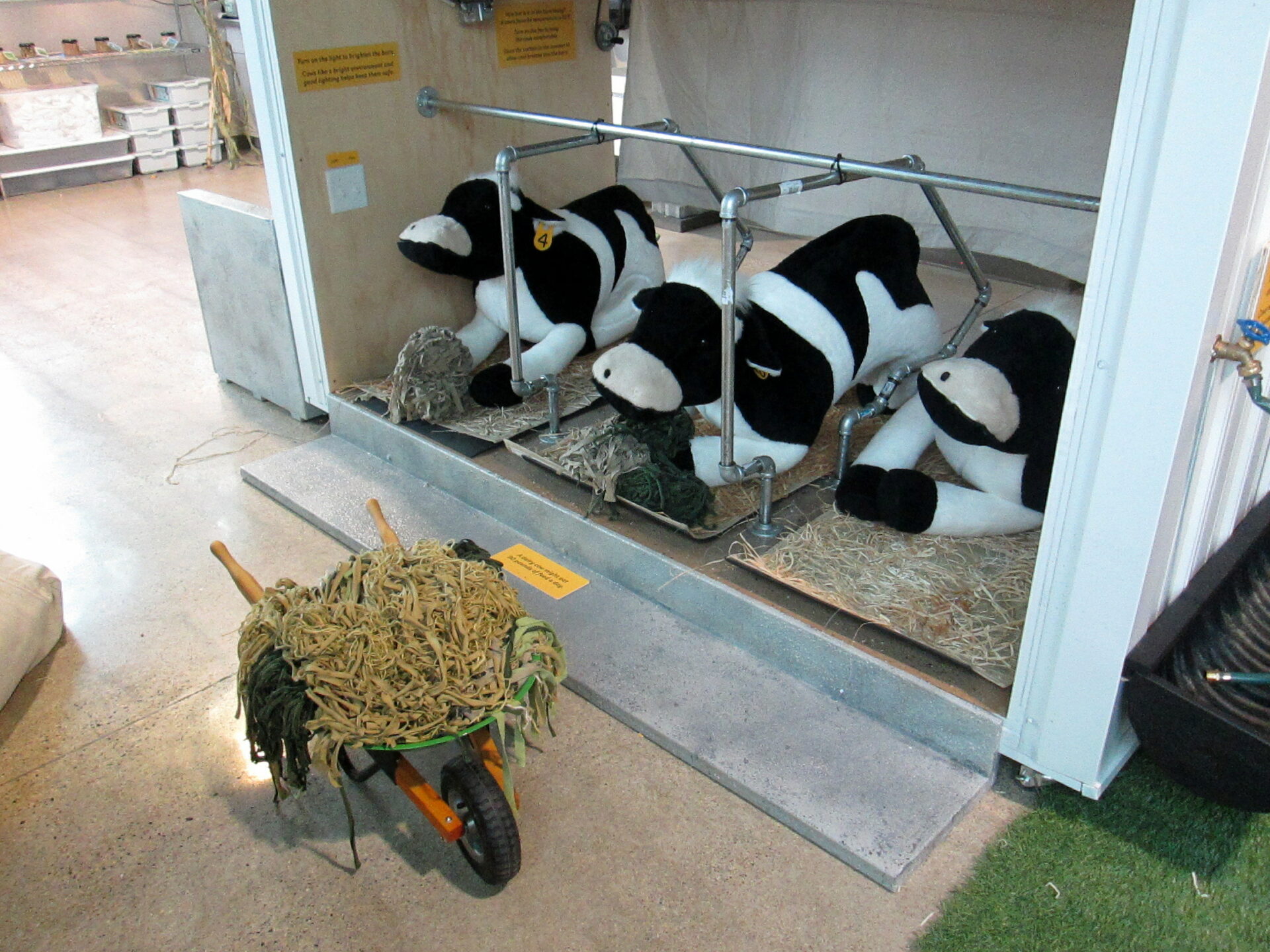 Dairy Barn Cow Care Exhibit in the Ag Lab at the Children's Museum of Southern Minnesota