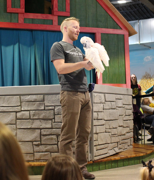Wild Things Zoo Visit exotic animals at the Childrens Museum of Southern Minnesota 2020