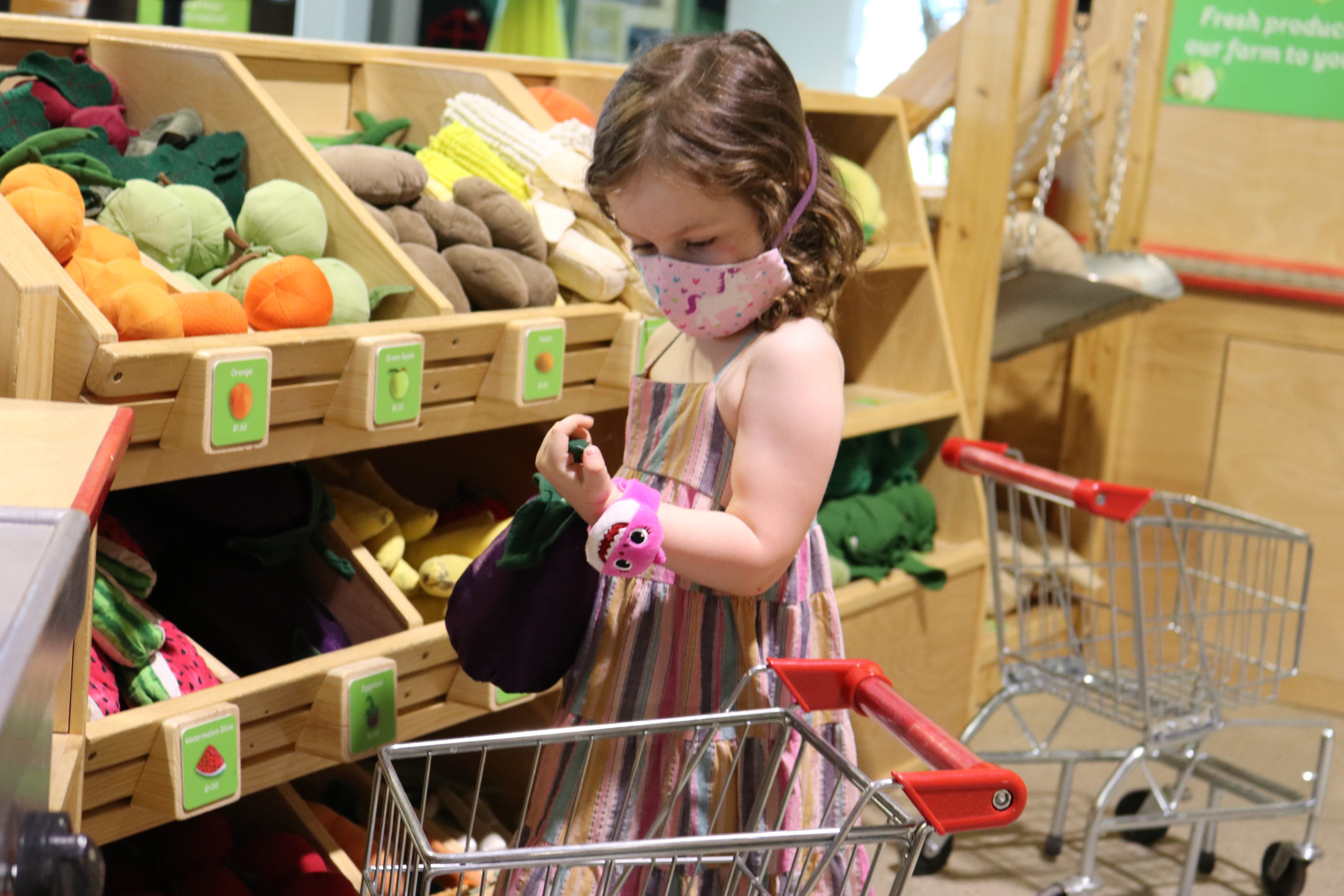 Safety and Security at the Children's Museum of Southern Minnesota