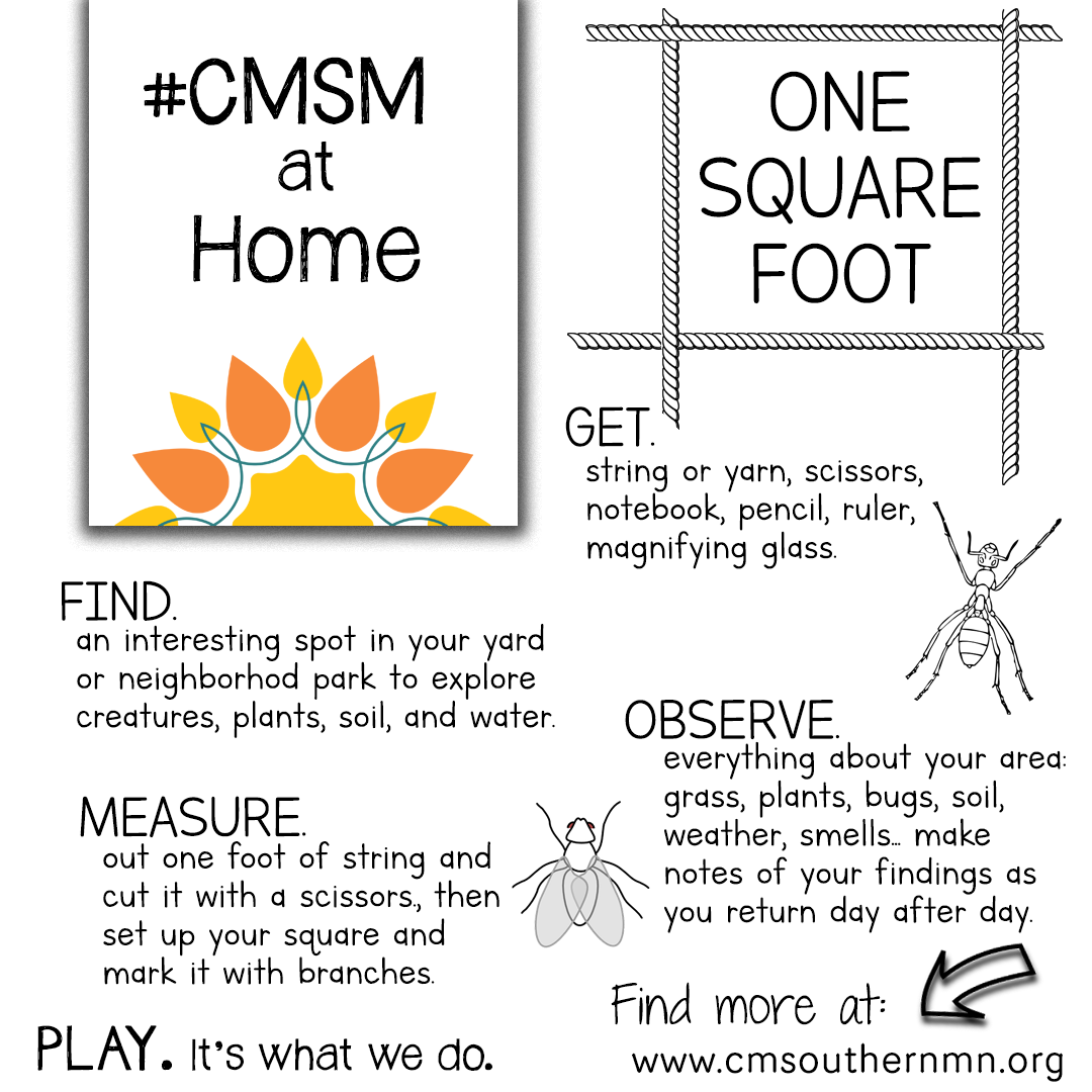 One Square Foot | CMSMatHome