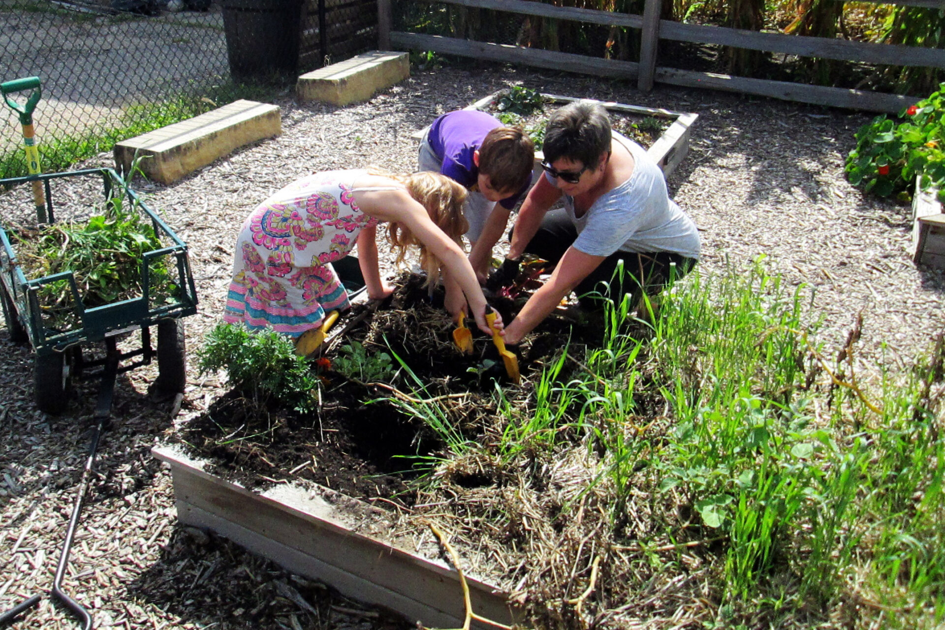 Digging potatoes in the Childrens Museum of Southern Minnesota Farmyard