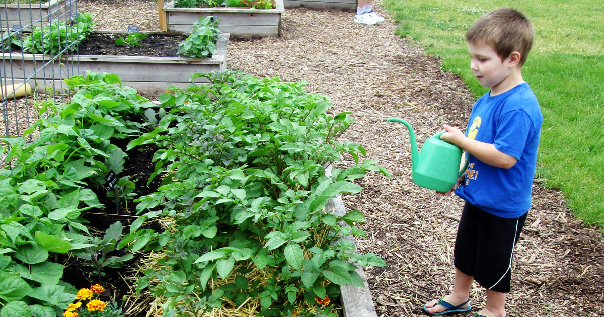 Farm to table where food comes from garden bed Childrens Museum of Southern Minnesota