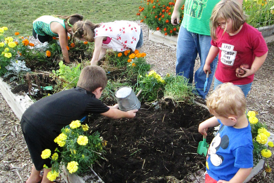 Harvesting potatoes in the garden beds at the Childrens Museum of Southern Minnesota
