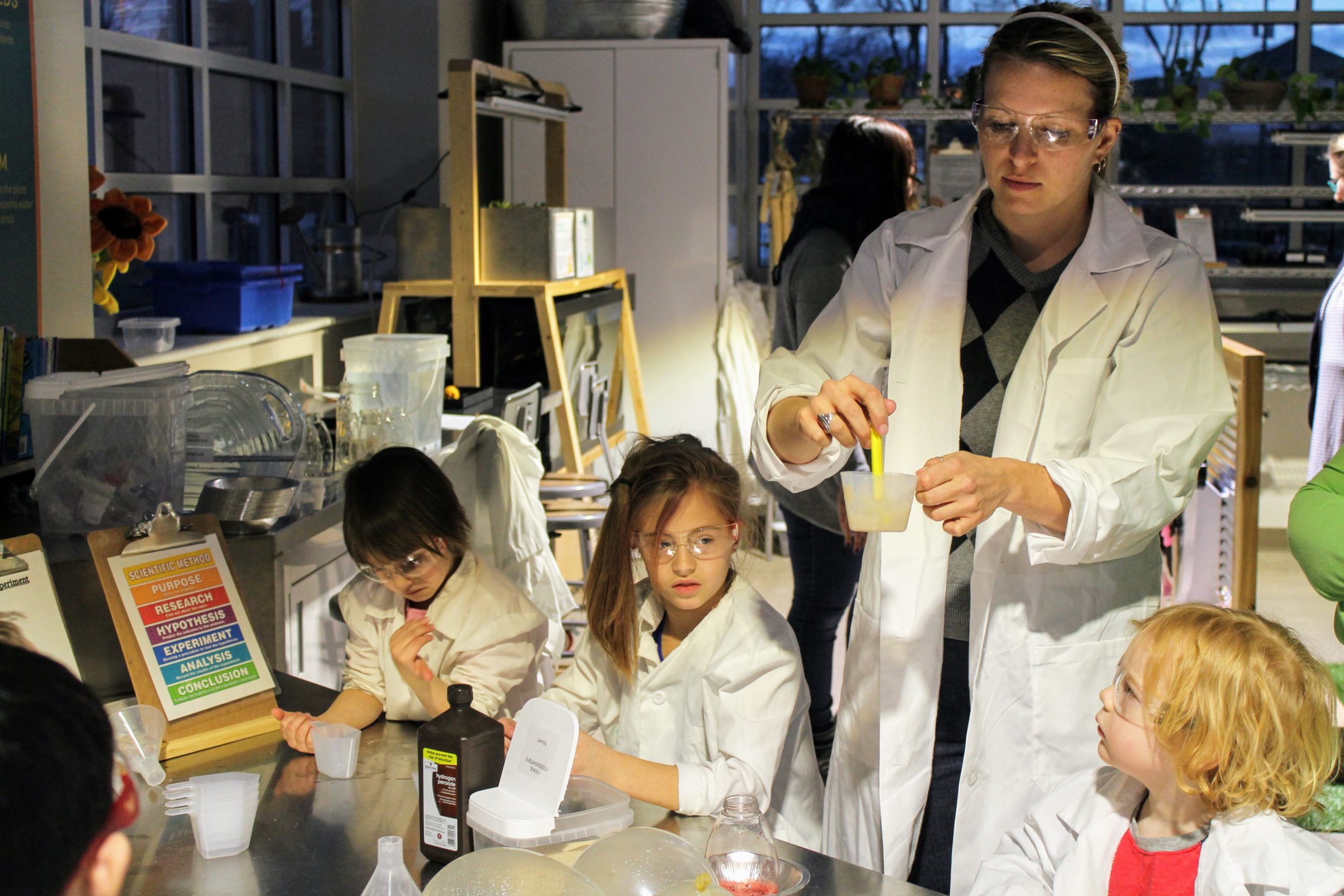 Science Blog - Experiment