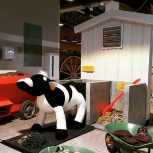 Dairy Barn Cow Care in the Ag and Nature Lab at the Children's Museum of Southern Minnesota in Mankato