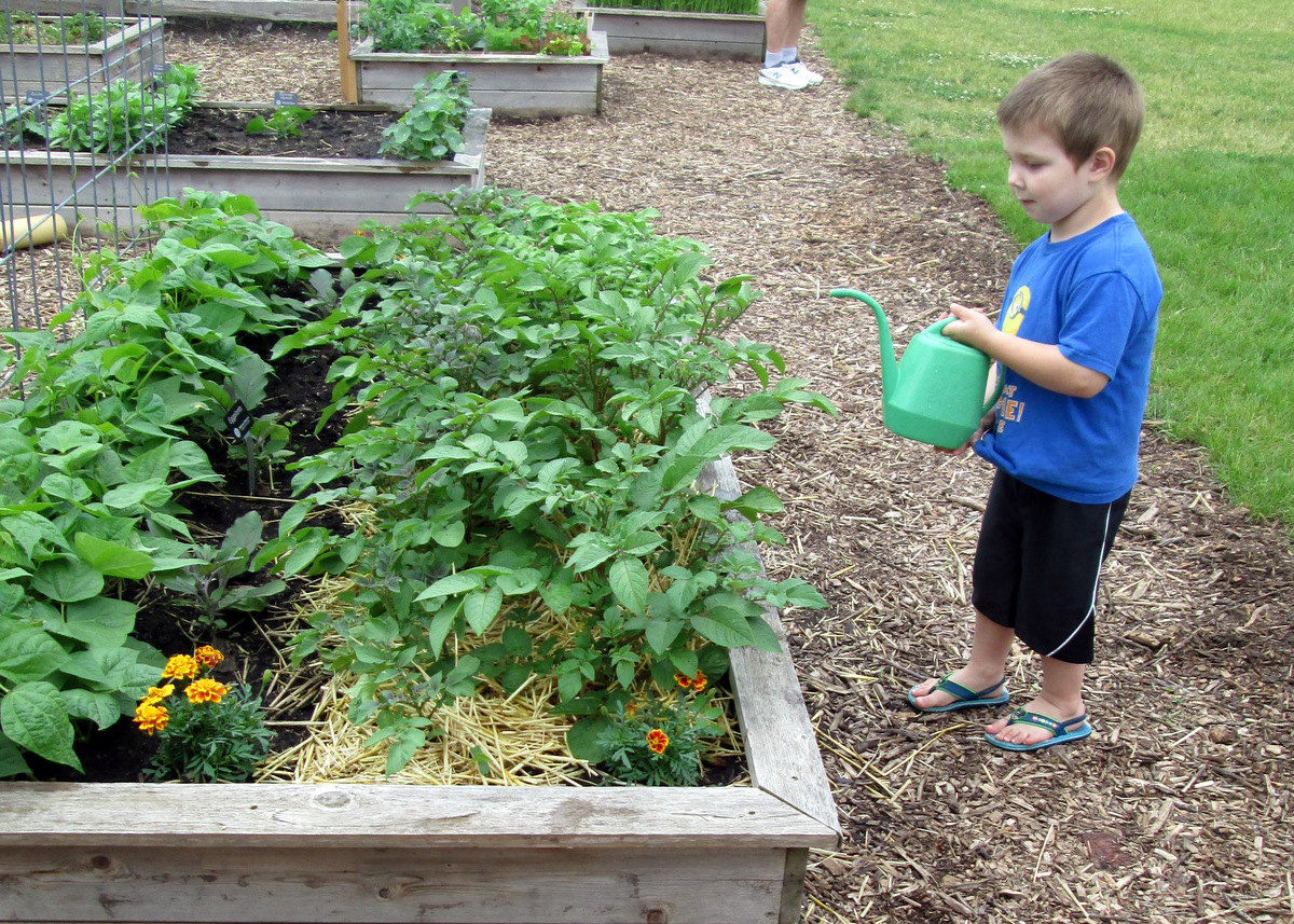 Garden Care with Little Farm Hands Program at the Children's Museum of Southern Minnesota