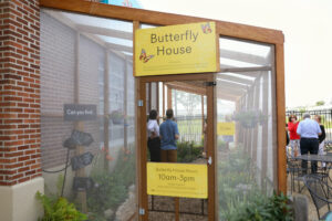 Butterfly House Monarch Pollinator exhibit at the Children's Museum of Southern Minnesota in Mankato