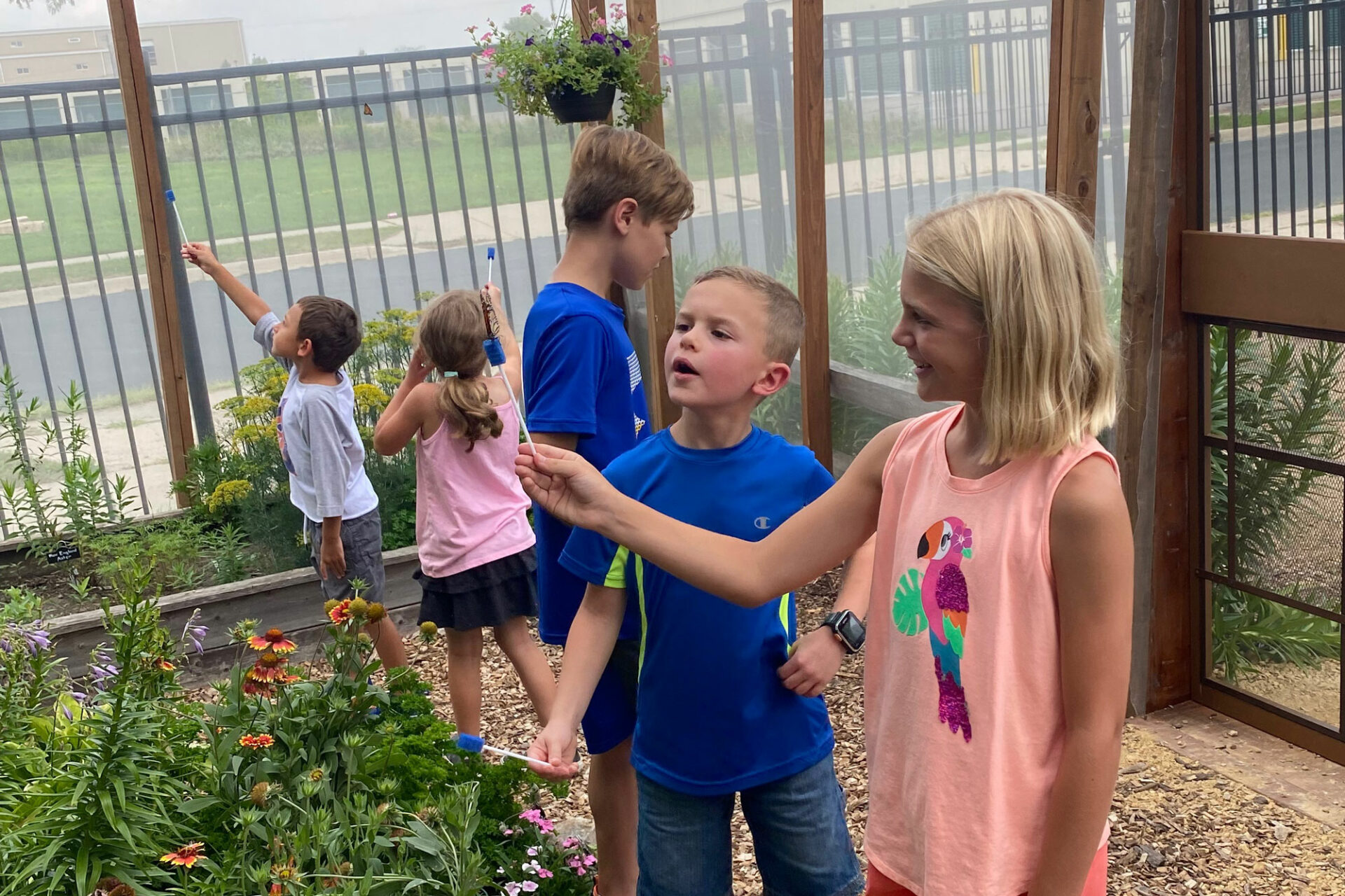 Butterfly House Monarch Pollinator exhibit at the Children's Museum of Southern Minnesota in Mankato