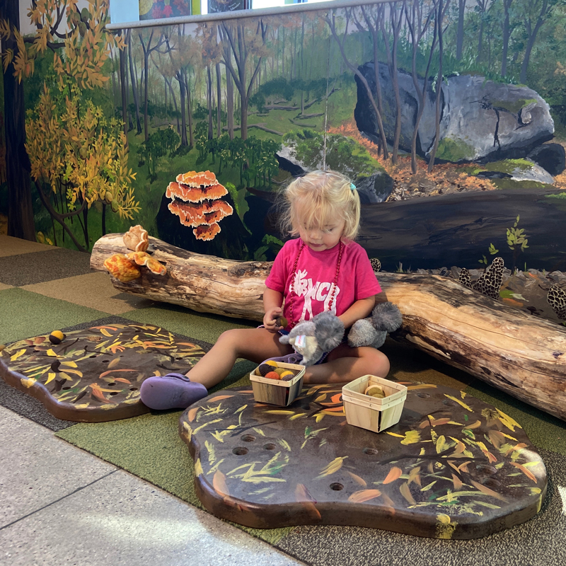 Nature's Harvest programming exhibit in the Ag and Nature Lab at the Children's Museum of Southern Minnesota Mankato