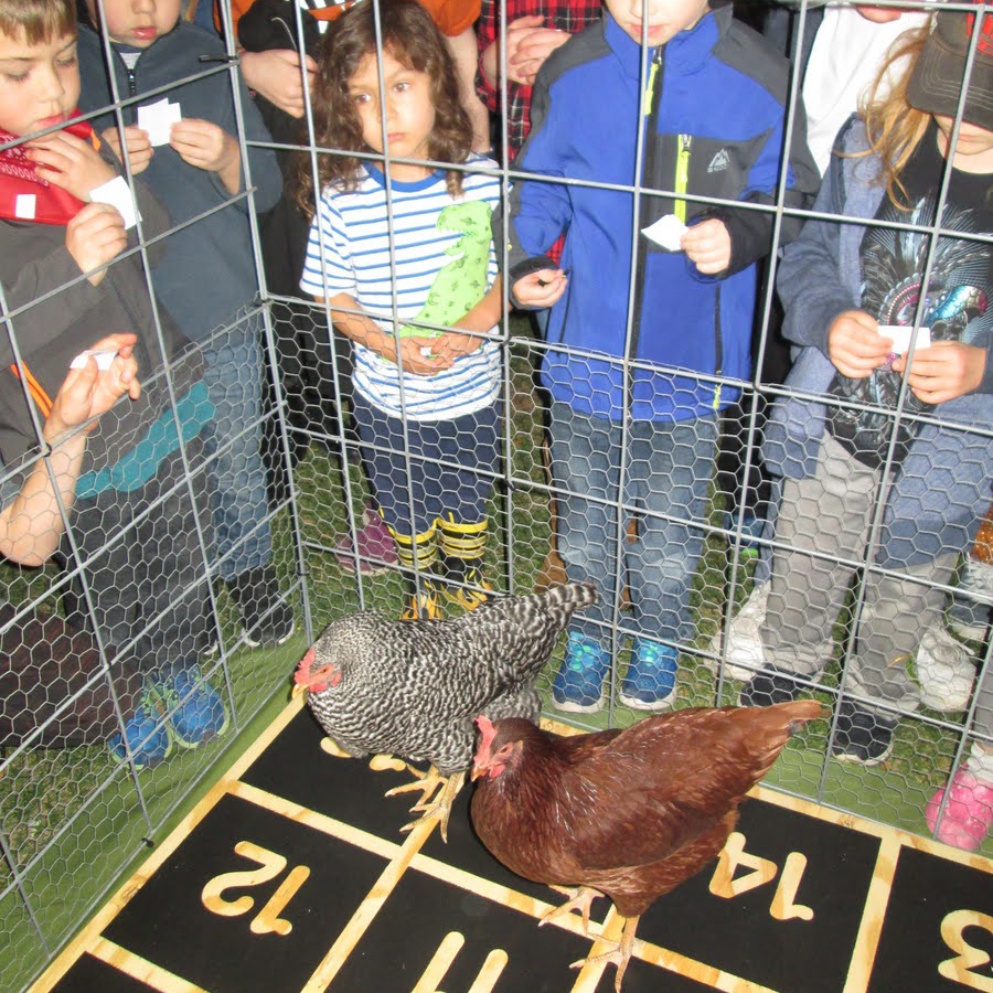 Chicken-Poop-Bingo-at-Harvest-Fest-Childrens-Museum-Southern-Minnesota-Mankato