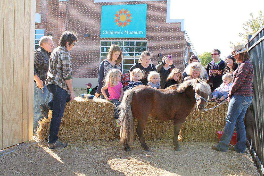 Horses Pinewood Stables Harvest Fest Children's Museum Mankato