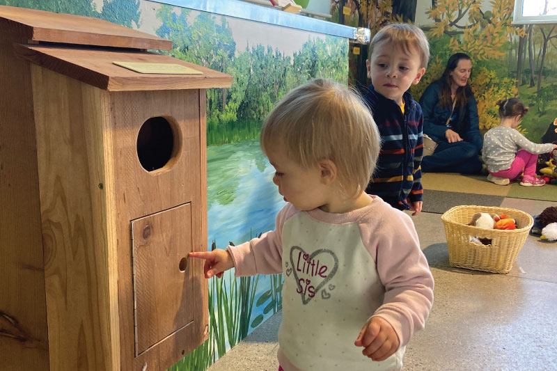 Bird Exhibit in the Ag and Nature Lab at the Children's Museum of Southern Minnesota in Mankato