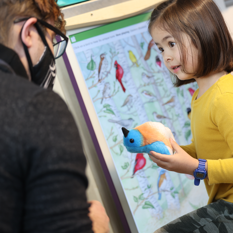 Pet Expo Birds Program in the Ag and Nature Lab Children's Museum Mankato