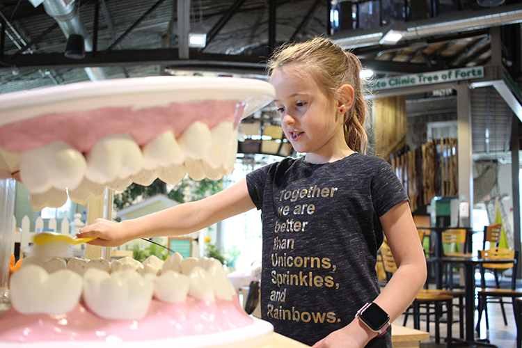 Open Door Health Clinic at CMSM Feb 3 free admission to childrens museum of southern mn mankato