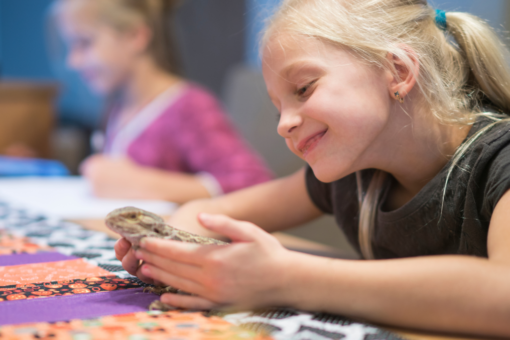 Little Pals and Pets with Pet Expo at the Childrens Museum of Southern Minnesota in Mankato.png