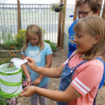 Buttefly House Monarch pollinator opening June 21 at Children's Museum Mankato