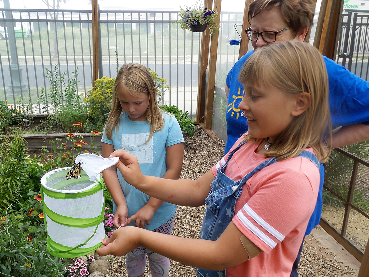 Buttefly House Monarch pollinator opening June 21 at Children's Museum Mankato