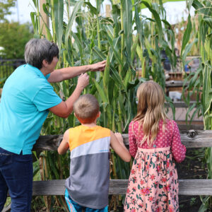 Farm to table field to food Childrens Museum of Southern Minnesota Mankato