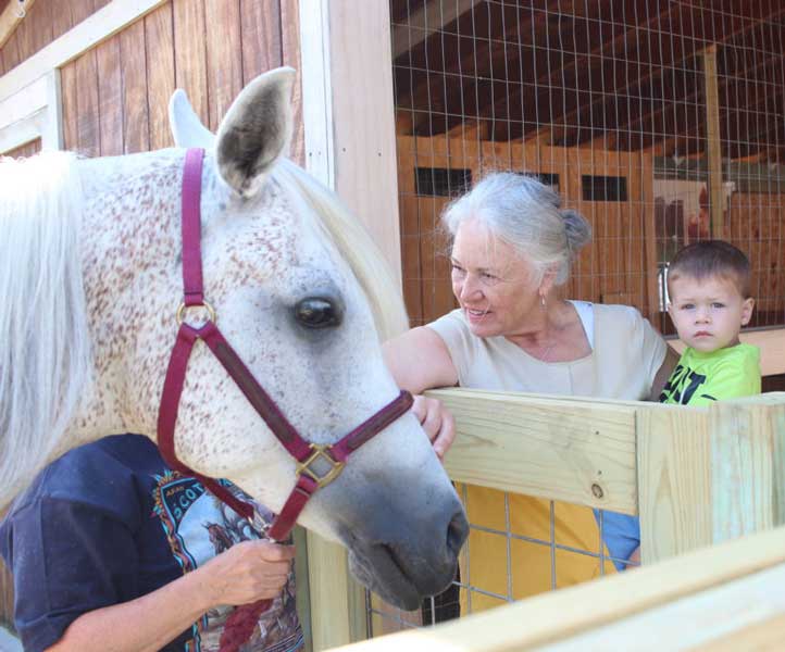 Visiting farm animals for kids in Mankato