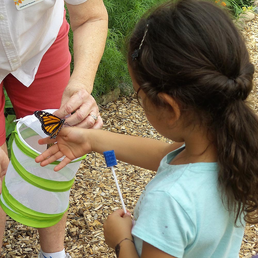 Catching butterflies in the Prairies Edge Exploration Area at the Children's Museum in Mankato