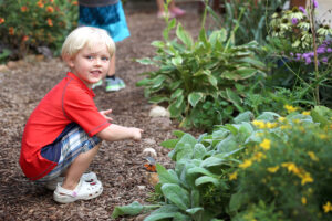 Butterfly house gardens pollinator childrens museum of southern minnesota
