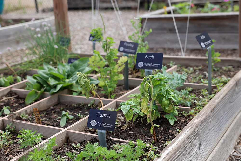 Vegetable gardens in the outdoor area at the Children's Museum of Southern Minnesota