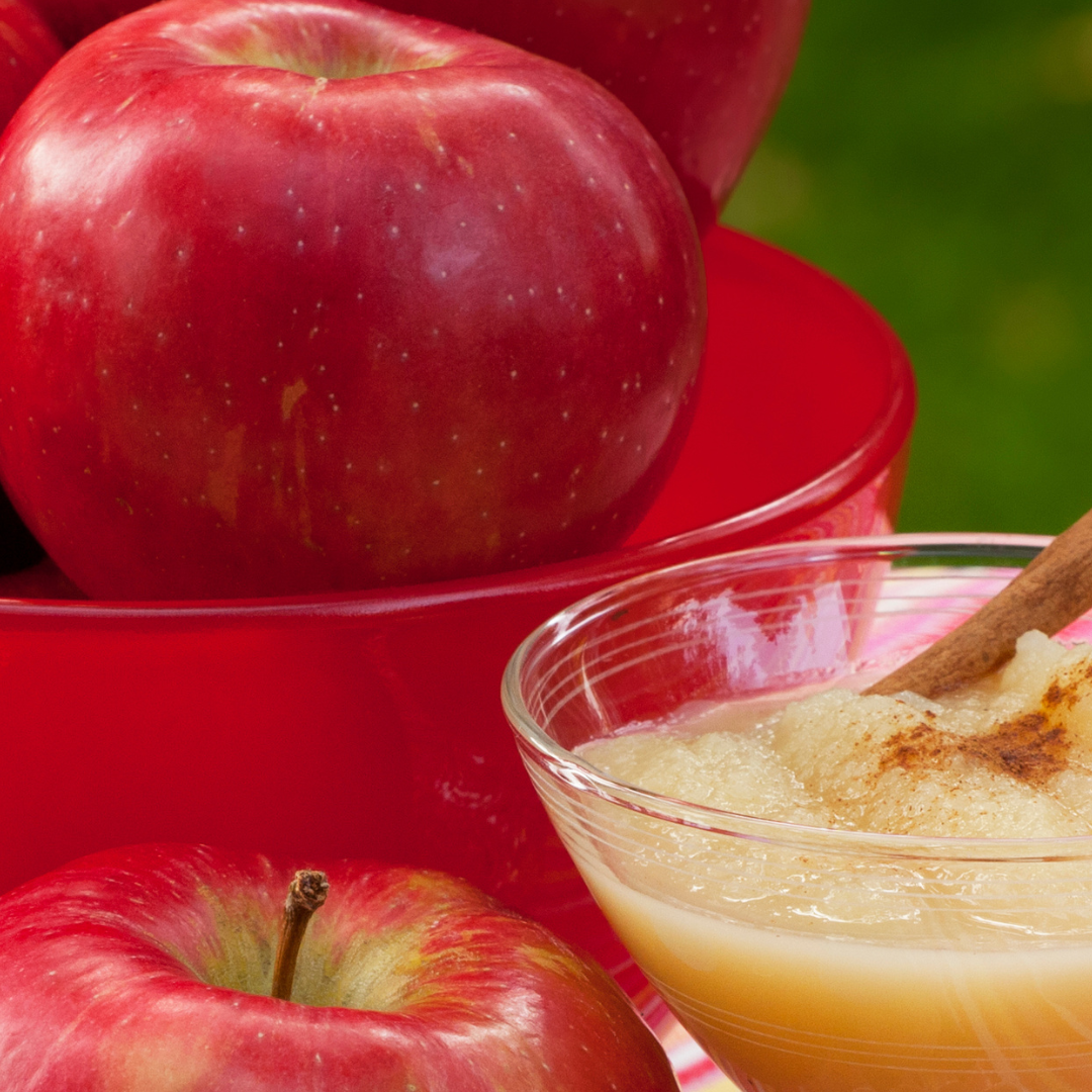 Exploring Nature during Autumn Adventures fall festival at the Children's Museum of Southern Minnesota