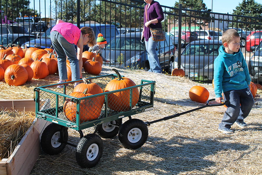 Pumpkin Patch Autumn Adventures at the Childrens Museum of Southern Minnesota