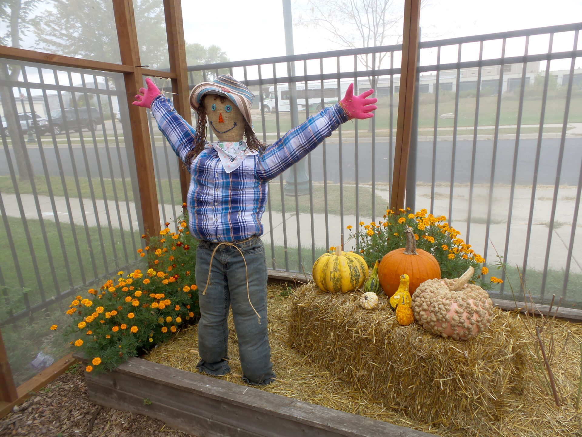 Scarecrows in the Butterfly house autumn adventures Childrens Museum of Southern Minnesota