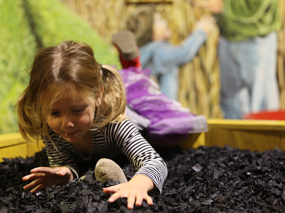 Digging in the Grow it Gallery at CMSM