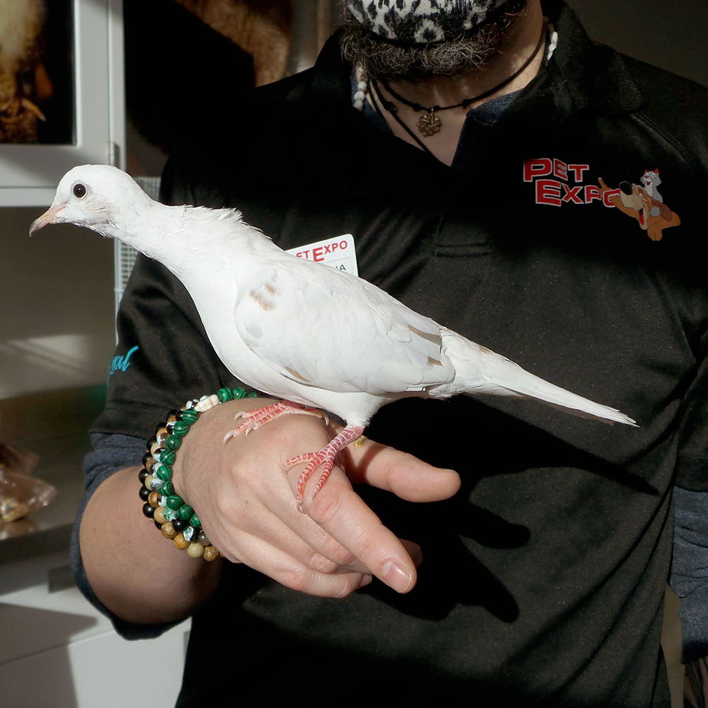 Pet Expo Visit the Children's Museum in Mankato