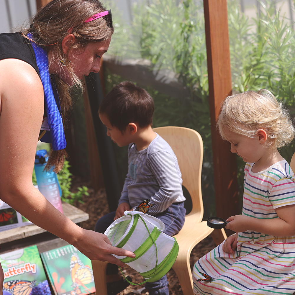 Explore Pollinators with Master Gardeners Childrens Museum of Southern Minnesota Mankato