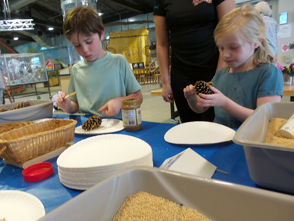 Spring Activity for kids - making a bird feeder
