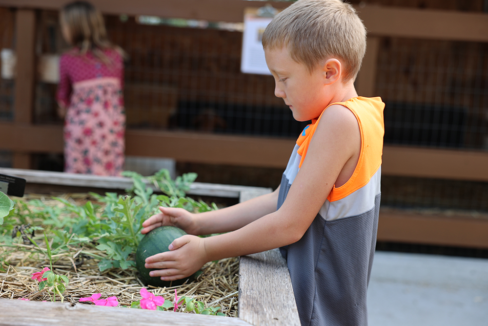 Child by raised garden bed at the Childrens Museum in Mankato