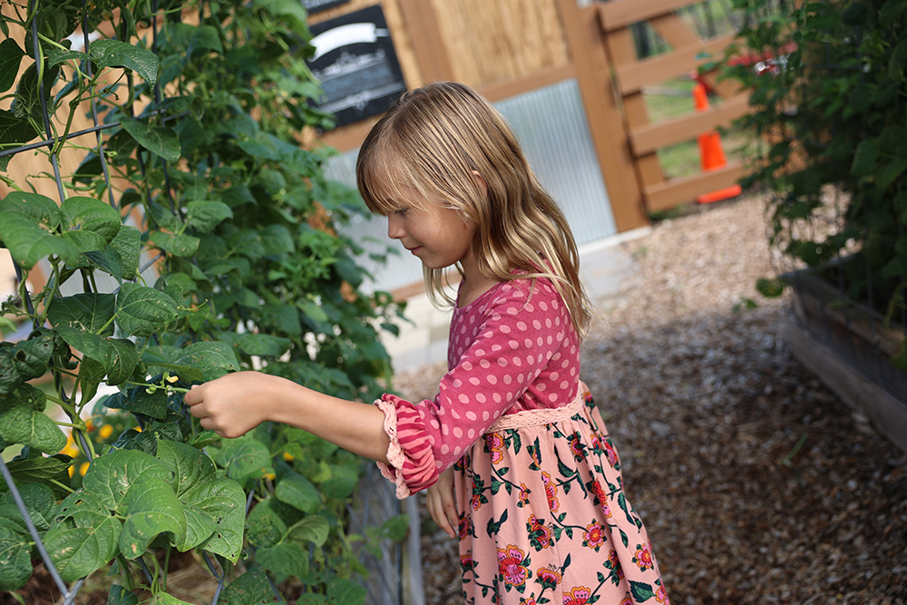 Gardening with Kids at the Childrens Museum