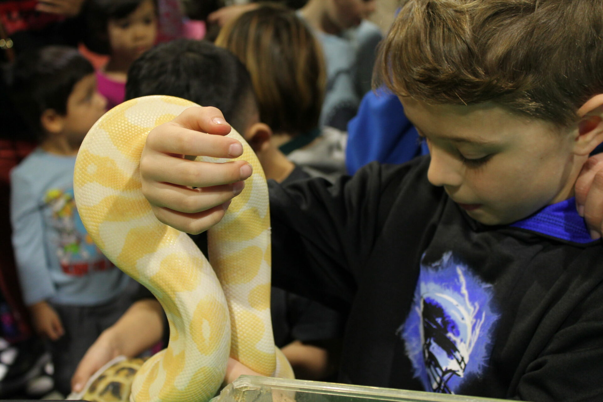 Pet Expo Reptile Visit Childrens Museum of Southern Minnesota