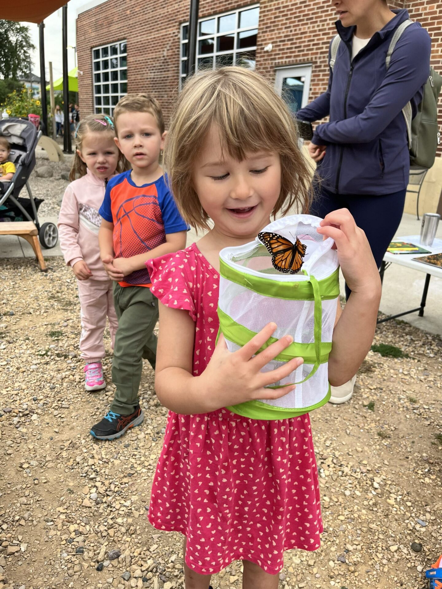 The Great Butterfly "Tag"-Along!