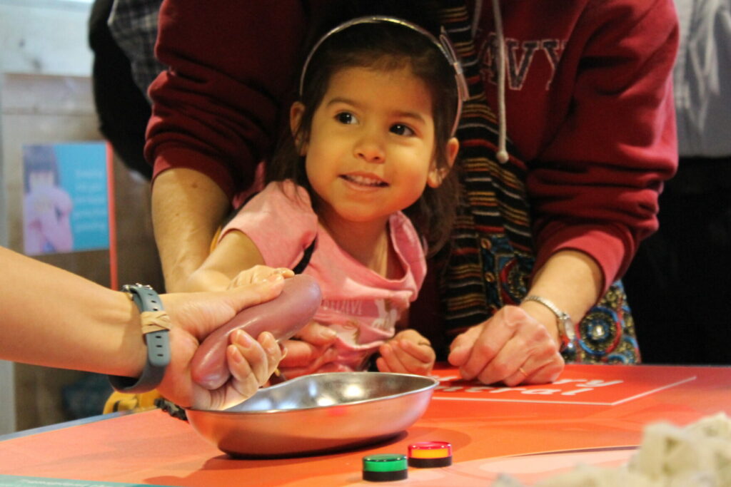 Healthy Me exhibit Operation table Children's Museum Mankato