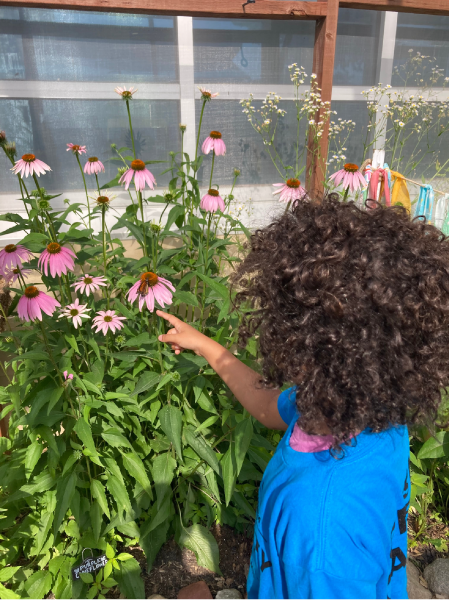 Monarch Tagging Event Butterfly House Pollinators at Play powered by CenterPoint Energy Foundation Children's Museum of Southern Minnesota