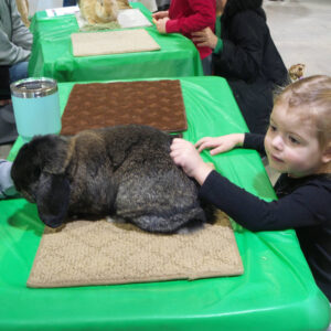 Bunny Eggventure Childrens Museum of Southern Minnesota Spring fun for kids in Mankato