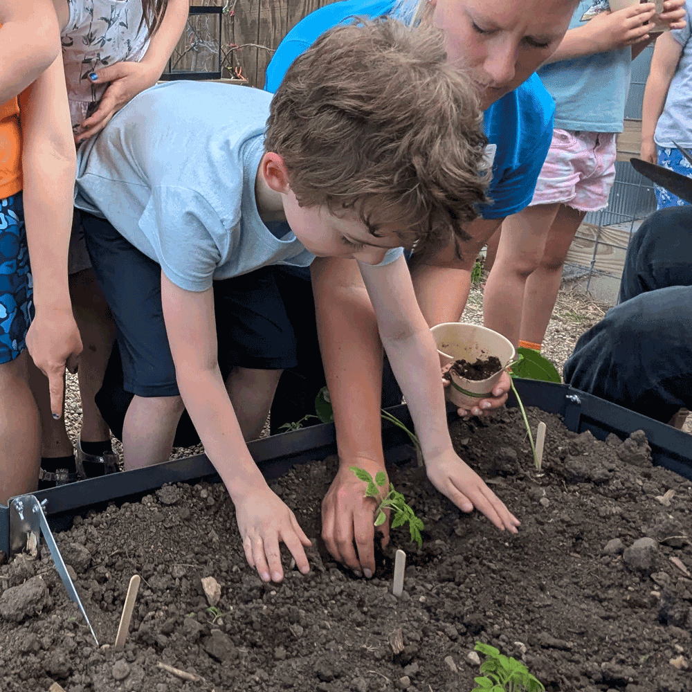 Seed Planting at the Children's Museum with Master Gardener Casey
