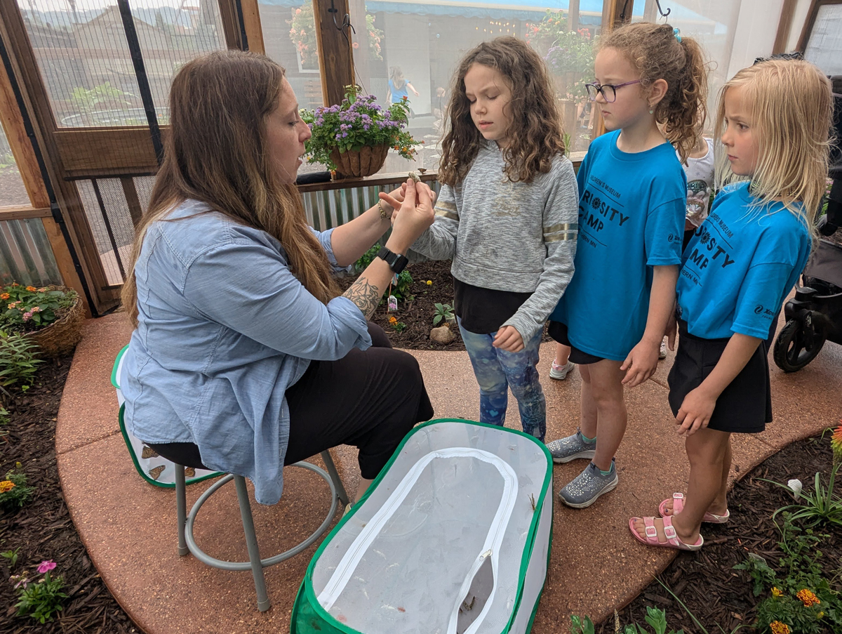 Summer Camps in Mankato | Children's Museum of Southern Minnesota Curiosity Camp Butterfly House