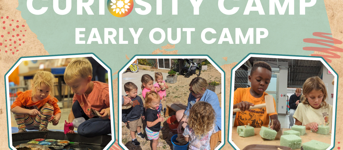 Curiosity Camp 1