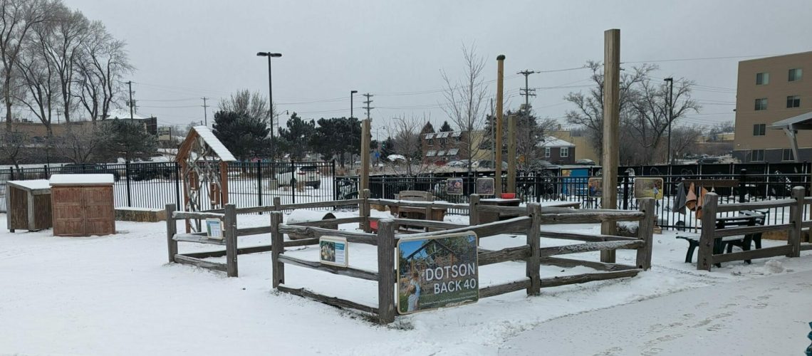 PXL_20240110_142525631 (1)